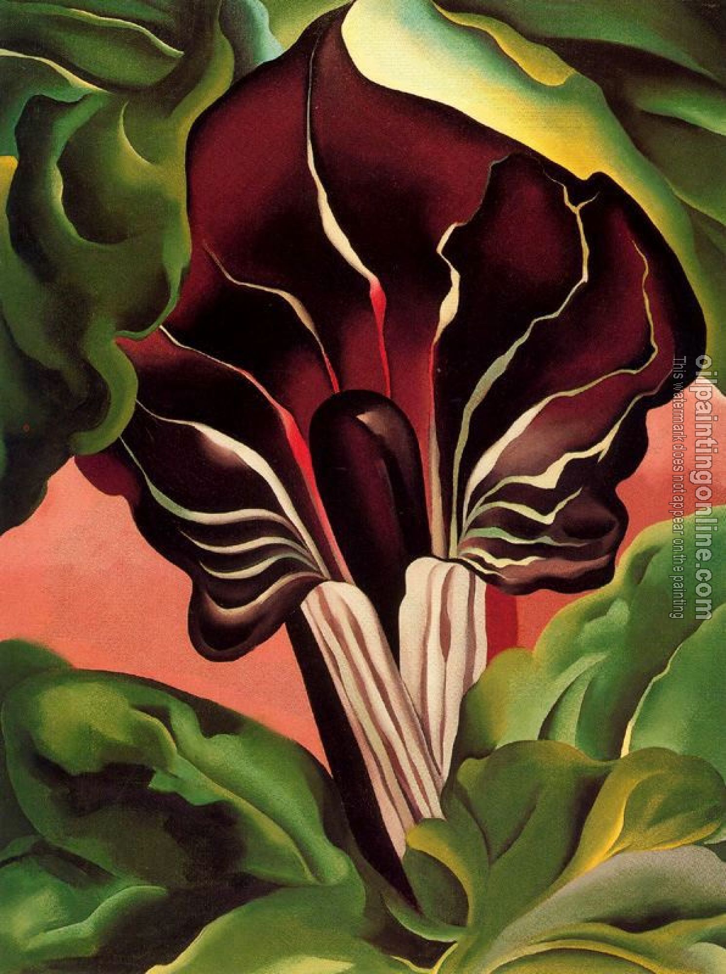 O Keeffe, Georgia - Jack in the Pulpit II